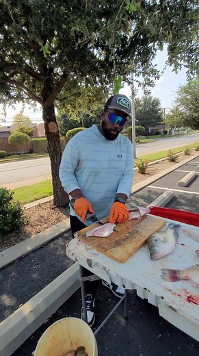 26K views · 560 reactions | The CORRECT way to fillet a big crappie | Fishing Ken | Facebook