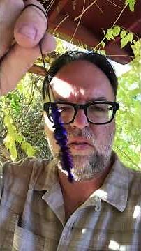 Spell Casting with Pendulums: High-Vibe Techniques for Powerful Manifestation