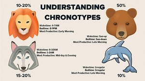 Understanding your chronotype for better performance
