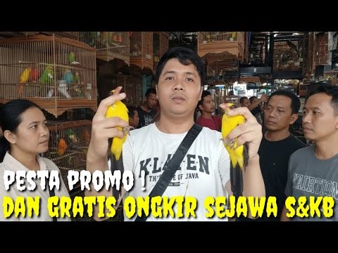 PESTA AKHIR TAHUN ! PROMO BESAR2AN TANPA PANDANG BULU DAN GRATIS ONGKIR SEPULAU JAWA, S&KB