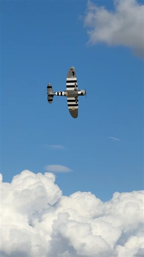 Saito FG-20 4-Stroke SOUNDS INCREDIBLE on this P-47! 🔊