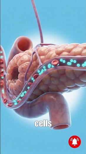 What Happens If You Eat Too Much Sugar at Once? 🍭 Inside Your Body!