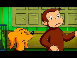 What’s That Noise?🤔🫣 | Curious George Compilation | Adventure & Play