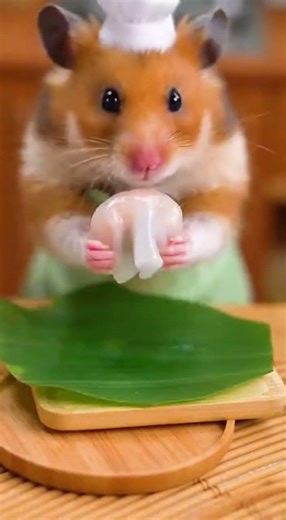 You Won’t Believe This Hamster Made Vietnamese Tapioca Dumplings! 😳Banh Bot Loc