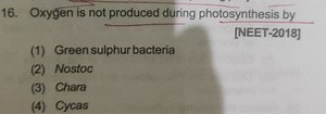 Oxygen is not produced during photosynthesis byNEET-2018 Green... | Filo