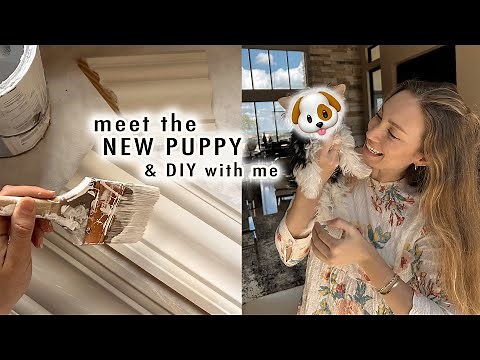 meet the new puppy & DIY with me! | XO, MaCenna Vlogs