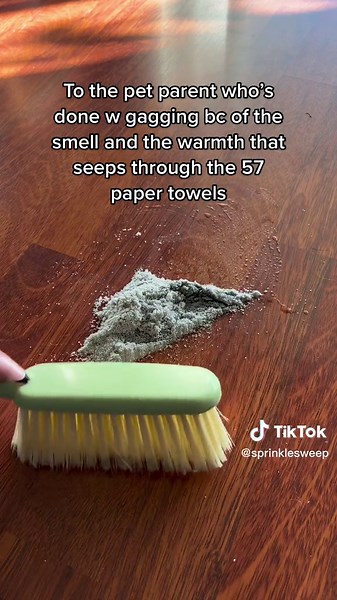 Say Goodbye to Pet Mess with This Clever Hack!