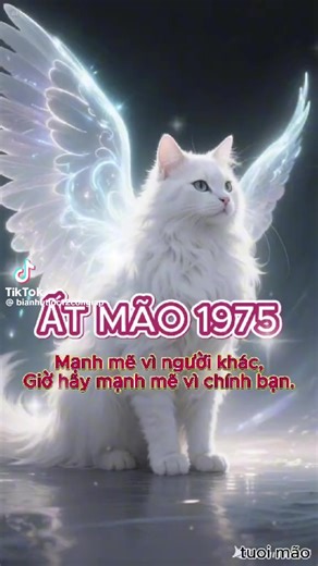 Video của Minh Ngoc (@minh.l.ngoc4) với bản nhạc nhạc nền - Minh Ngoc