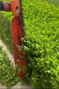 1.6M views · 1.9K reactions | Great human creativity in life and work #handmade #crafts #diy | Alucard282 | Facebook