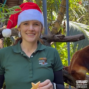 ONE MORE SLEEP 🎅 Merry Christmas from all of us here at Perth Zoo! 🎄 | Perth Zoo