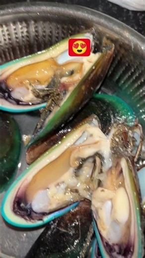 #seafood #mussles #fish mussels fish | shell fish | seafood recipe | mussels recipe| mussels fry