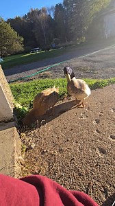 Michele Hubbard on Reels | Facebook