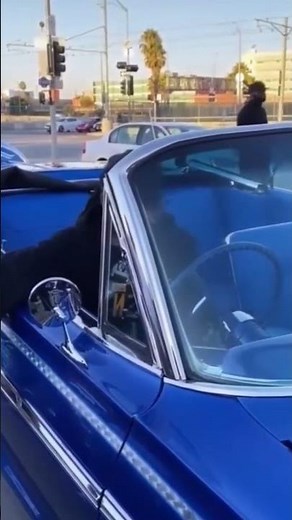 Snoop Dogg Cars Collection Part.3 #shortvideo #hiphop #car #rapper