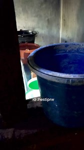 1.7M views · 10K reactions | Buat prank story wa #story #wa #viral | Hesti Purwanti | Facebook