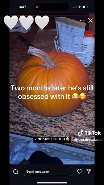 Husband's Pumpkin Obsession: A Cute Couple Moment