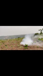 A deer is about to escape .. hunting bushbuck #hunting #hunter #adventure | Arthur Lifestyle