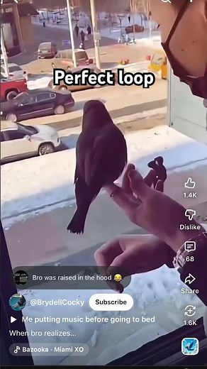 Perfect sound loop