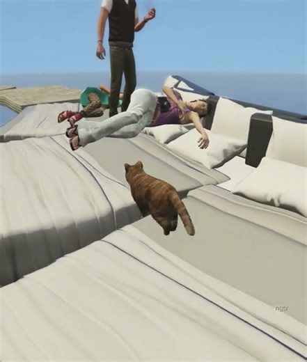 The cat wakes the girls up #gta
