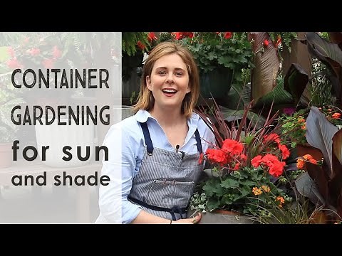 Container gardening for sun or shade