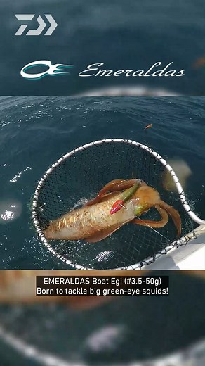 EMERALDAS Boat Egi Built for tip run eging, loved by big green-eye squids around the waters. #DAIWA #DAIWAMalaysia #FeelAlive #Fishing #EMERALDAS #Angler #Saltwaterfishing #Squidfishing #Emeraldasboat #Sotong #Greeneyesquid #Bigfinreefsquid #ProAngler #Pancing #Mancing #DAIWAFishing #Malaysiafishing #Kakipancing #Catchoftheday #Borntofish #Fishinglife #Fishingaddict #Eging #alatpancing #mancingmania #pancingmania | Daiwa Malaysia
