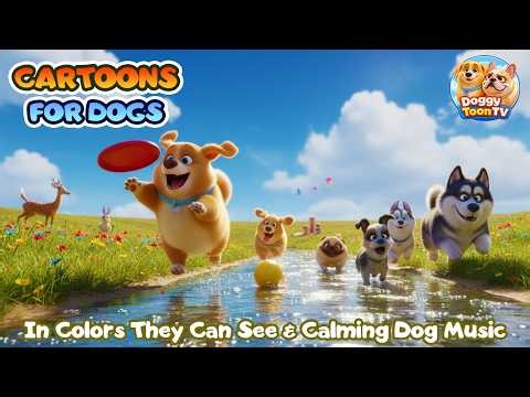 Cartoons for Dogs to Watch 🎨🐕 Bluey & Yellow in Colors They Can See🐶 Playful Dog Videos All Day Long