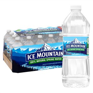 Ice Mountain 100% Natural Spring Water 20 fl. oz., 28 pk. - Samsclub.com