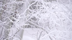 Ski resorts turn more and more to snowmaking