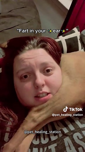 Hilarious Dog Fart Moment Caught on Camera!