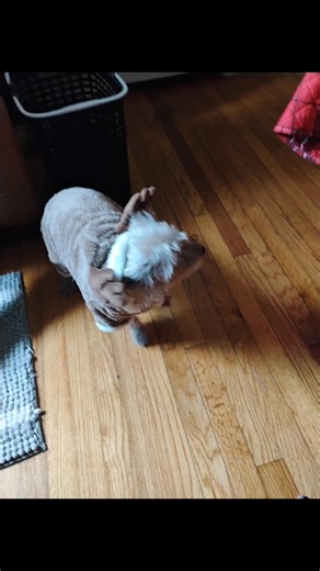 Carol Jenkins on Reels