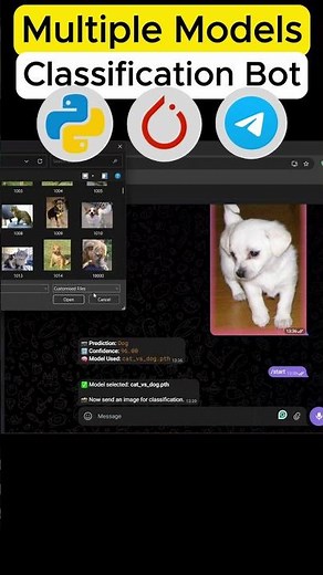Telegram Bot for Image Classification 🚀 | AI Project #computervision #education #deeplearning