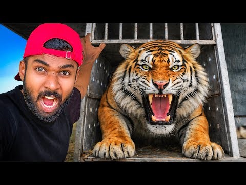 මම සත්තු වත්තක් බලාගත්තා | We Became Zoo Keepers for 24 Hours