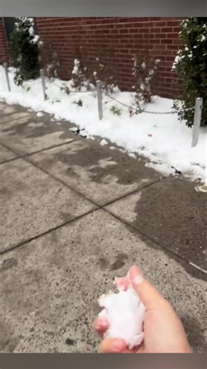 #military #funny #meme | funny military videos