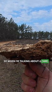 23K views · 200 reactions | Heavy rain followed by sunshine can cake your traps in the ground. Here's how to fix them! #trapping | The Management Advantage | Facebook