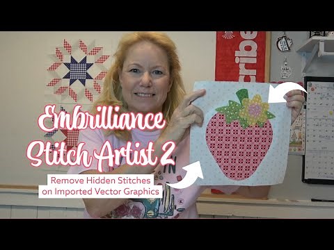 Snapplique with Embrilliance Stitch Artist 2, Remove Hidden Stitches, Lori Holt Bee Vintage