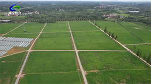 【乡村振兴看咸宁】咸安：高标准农田建设 为乡村振兴注入新动能