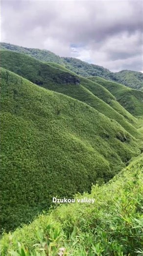 Dzukou valley landscapes #dzukouvalley #nagaland #northeastindia #youtubeshorts #nature #naturehike