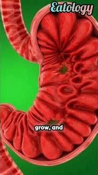 The Science of Sushi: How It Travels Through Your Body and Impacts Your Health.