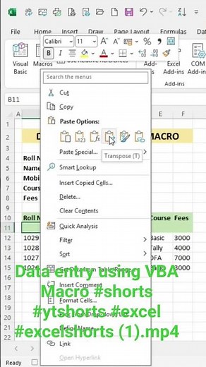 Data entry using VBA Macro #ytshorts #excel #excelshorts