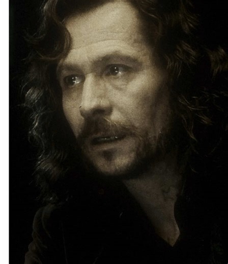 погавкай #harrypotter #гаррипоттер #siriusblack #jamespotter #сириусблэк