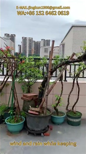 Open-Air Balcony Upgrade | Installing Modern Aluminum Railings for a Clean Finish