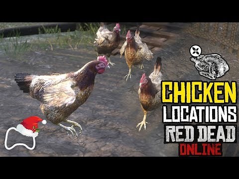 RED DEAD ONLINE Where to find Chickens? Java and Leghorn Chickens LOCATIONS - Daily Challenges RDO