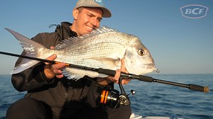 1.5K views · 197 reactions | All NEW range of Savage Gear Australia...