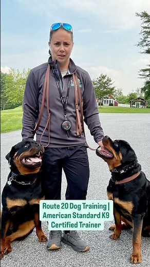 🐾 American Standard K9 Academy Journey: From Dog Owner to Certifeld Trainer 🎓