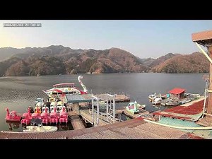 【LIVE】相模湖のいま・ライブカメラ・お天気確認・相模原市・スワン丸・釣り状況 Live Camera in The Lake Sagami ,Kanagawa in Japan