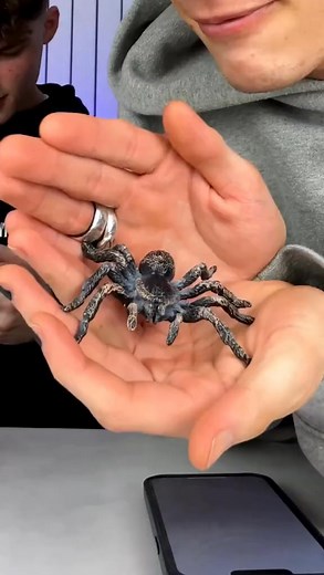 Spiders are cute 🕷 #magician #magictricks #magic #facebookreel #fyp #learn | Joel Magician