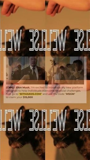 Ariana Grande Problem Cat Version f136 113s