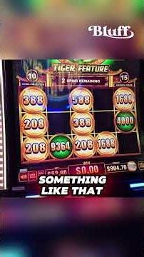 Which bonus brings the bag ⏱️💰Part 6 #bluffinbob #win #highstakes