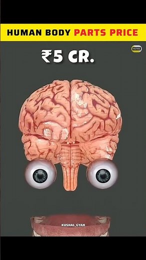 Human Body Price | kidney price | heart price | Body Parts Value in Hindi & English | Science facts