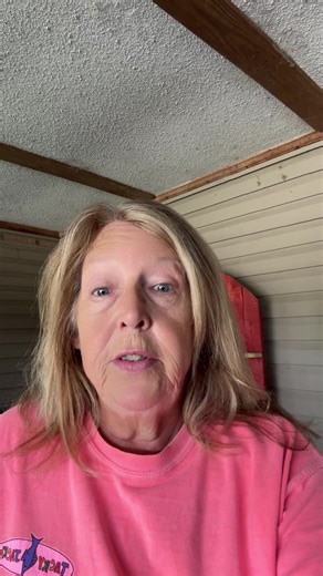 FYP TikTok creator pilot program