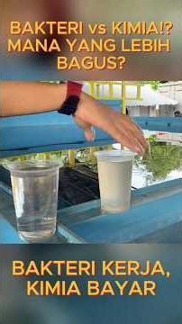 Sistem Ipal | Pengolahan Air LimbahProses Biologi vs Kimia Fisika dipisah atau digabungkan